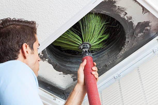 Best Air Duct Mold Removal  in Lake Landor, VA